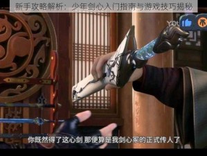 新手攻略解析：少年剑心入门指南与游戏技巧揭秘