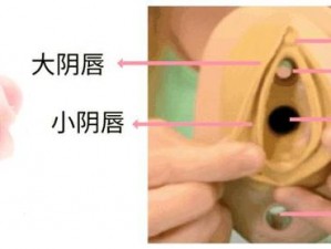 年轻护士 3 的滋味，体验极致性爱快感