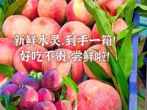 巨无霸水蜜桃阿嫂家的新鲜水果，每一口都充满自然的甜蜜