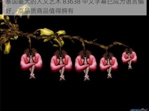 泰国最大的人文艺术 83638 中文字幕已成为语言偏好，高品质商品值得拥有