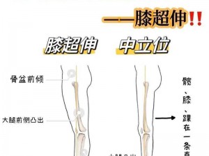 推荐几个看腿 app：秀出美腿，社交必备😜