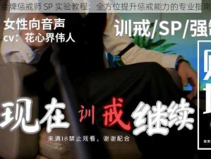 金牌惩戒师 SP 实验教程：全方位提升惩戒能力的专业指南