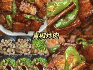 情侣炒菜 52 式 PDF：教你做出美味佳肴，增进情侣感情