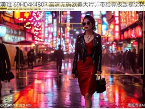 欧美性 69HD4K480P 高清无码欧美大片，带给你极致视觉体验