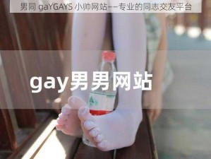 男同 gaYGAYS 小帅网站——专业的同志交友平台