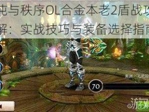 混沌与秩序OL合金本老2盾战攻略详解：实战技巧与装备选择指南