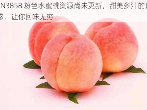 SN3858 粉色水蜜桃资源尚未更新，甜美多汁的口感，让你回味无穷