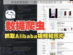 爬虫抓取视频：一款实用的视频抓取工具