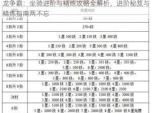 龙争霸：坐骑进阶与精炼攻略全解析，进阶秘笈与精炼指南两不忘