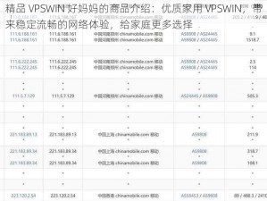 精品 VPSWIN 好妈妈的商品介绍：优质家用 VPSWIN，带来稳定流畅的网络体验，给家庭更多选择