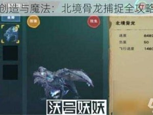 关于创造与魔法：北境骨龙捕捉全攻略秘籍