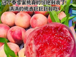 水蜜桃 881118 传媒公司：提供高品质成人影视内容制作