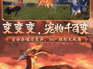 《妄想山海：鹞彩石之神秘作用详解》