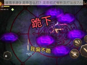 《暖雪手游》龙帝怎么打？龙帝招式解析及打法技巧分享