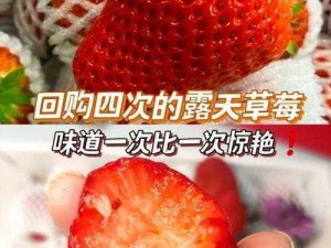 迈开腿吃草莓方法便携草莓采摘器