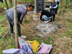 翁莹回乡祭祖 1-50 集免费观看：带你了解家族历史，感受传统文化