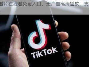 tiktok 看片在线看免费入口，无广告高清播放，支持多线路切换