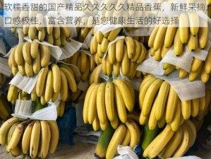 软糯香甜的国产精品久久久久久精品香蕉，新鲜采摘，口感极佳，富含营养，是您健康生活的好选择