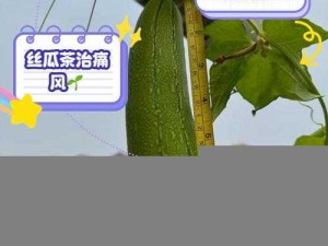 小猪草莓丝瓜深夜释放自己歌词 可爱实用的家居小物