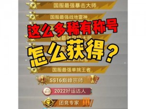 关于和平精英团竞专家称号的获取与计算方式的详解