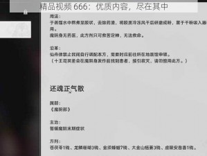 精品视频 666：优质内容，尽在其中