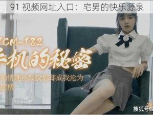 91 视频网址入口：宅男的快乐源泉