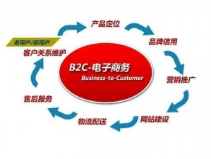 b2c 电商平台，引领消费新潮流