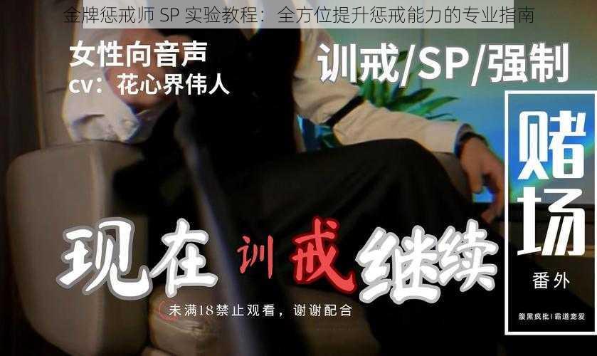 金牌惩戒师 SP 实验教程：全方位提升惩戒能力的专业指南