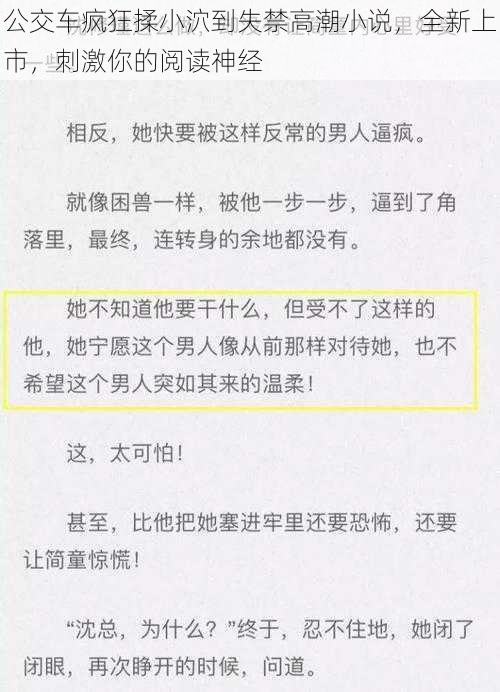 公交车疯狂揉小泬到失禁高潮小说，全新上市，刺激你的阅读神经