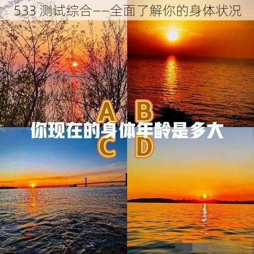 533 测试综合——全面了解你的身体状况