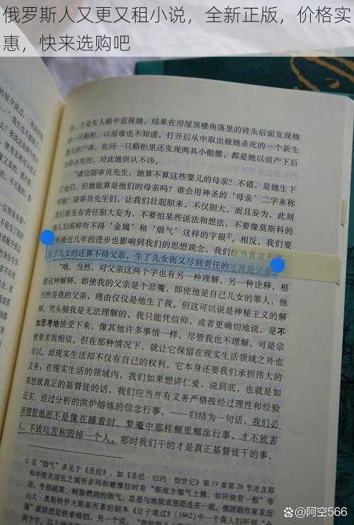 俄罗斯人又更又租小说，全新正版，价格实惠，快来选购吧