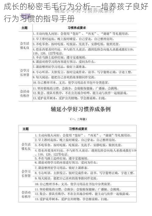 成长的秘密毛毛行为分析——培养孩子良好行为习惯的指导手册