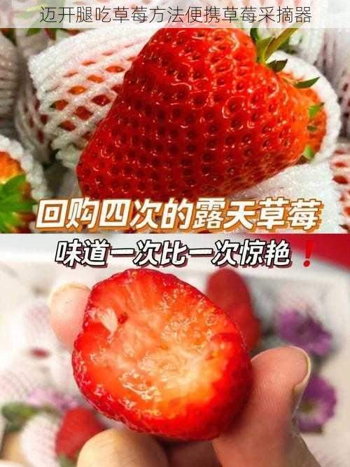 迈开腿吃草莓方法便携草莓采摘器