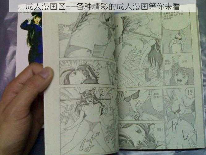 成人漫画区——各种精彩的成人漫画等你来看