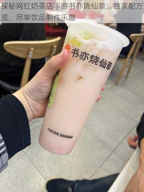 探秘网红奶茶店手游书亦烧仙草：独家配方览，尽享饮品制作乐趣