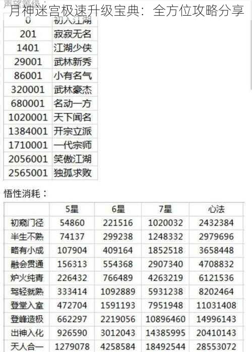 月神迷宫极速升级宝典：全方位攻略分享