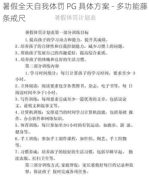 暑假全天自我体罚 PG 具体方案 - 多功能藤条戒尺