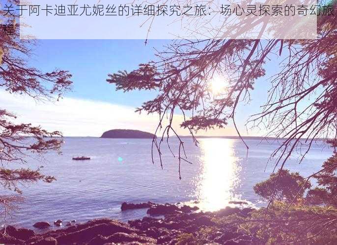 关于阿卡迪亚尤妮丝的详细探究之旅：场心灵探索的奇幻旅程