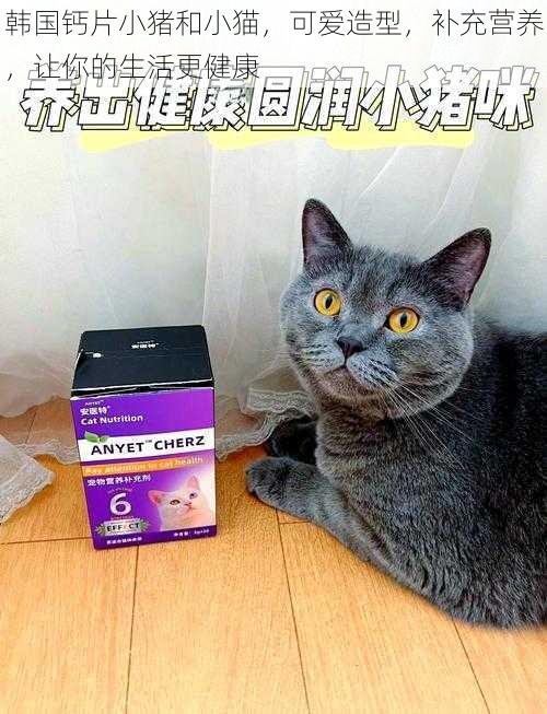 韩国钙片小猪和小猫，可爱造型，补充营养，让你的生活更健康