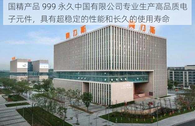 国精产品 999 永久中国有限公司专业生产高品质电子元件，具有超稳定的性能和长久的使用寿命