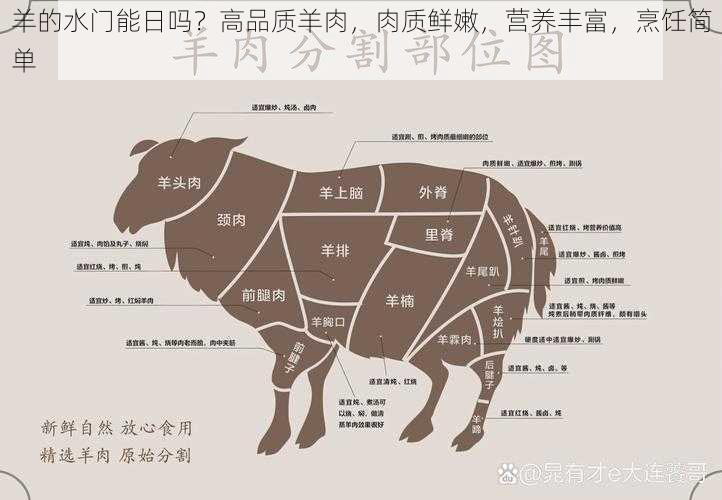 羊的水门能日吗？高品质羊肉，肉质鲜嫩，营养丰富，烹饪简单