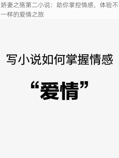 娇妻之殇第二小说：助你掌控情感，体验不一样的爱情之旅