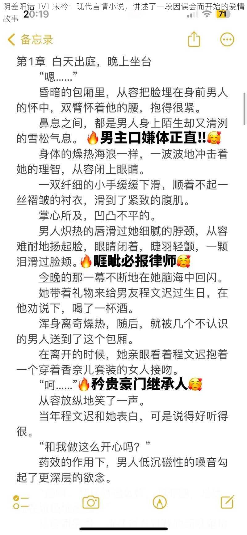 阴差阳错 1∨1 宋衿：现代言情小说，讲述了一段因误会而开始的爱情故事