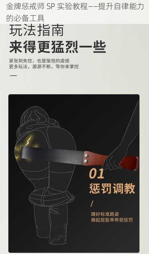 金牌惩戒师 SP 实验教程——提升自律能力的必备工具