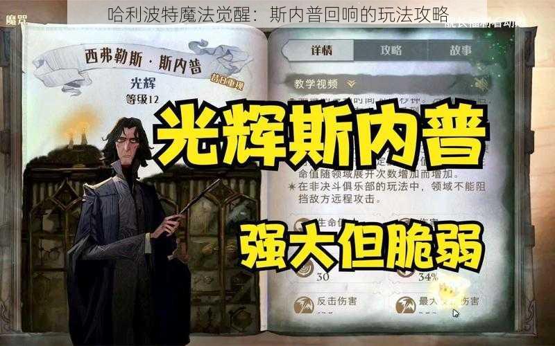 哈利波特魔法觉醒：斯内普回响的玩法攻略