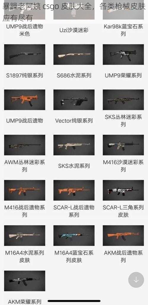 暴躁老阿姨 csgo 皮肤大全，各类枪械皮肤应有尽有