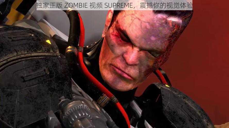 独家正版 ZOMBIE 视频 SUPREME，震撼你的视觉体验