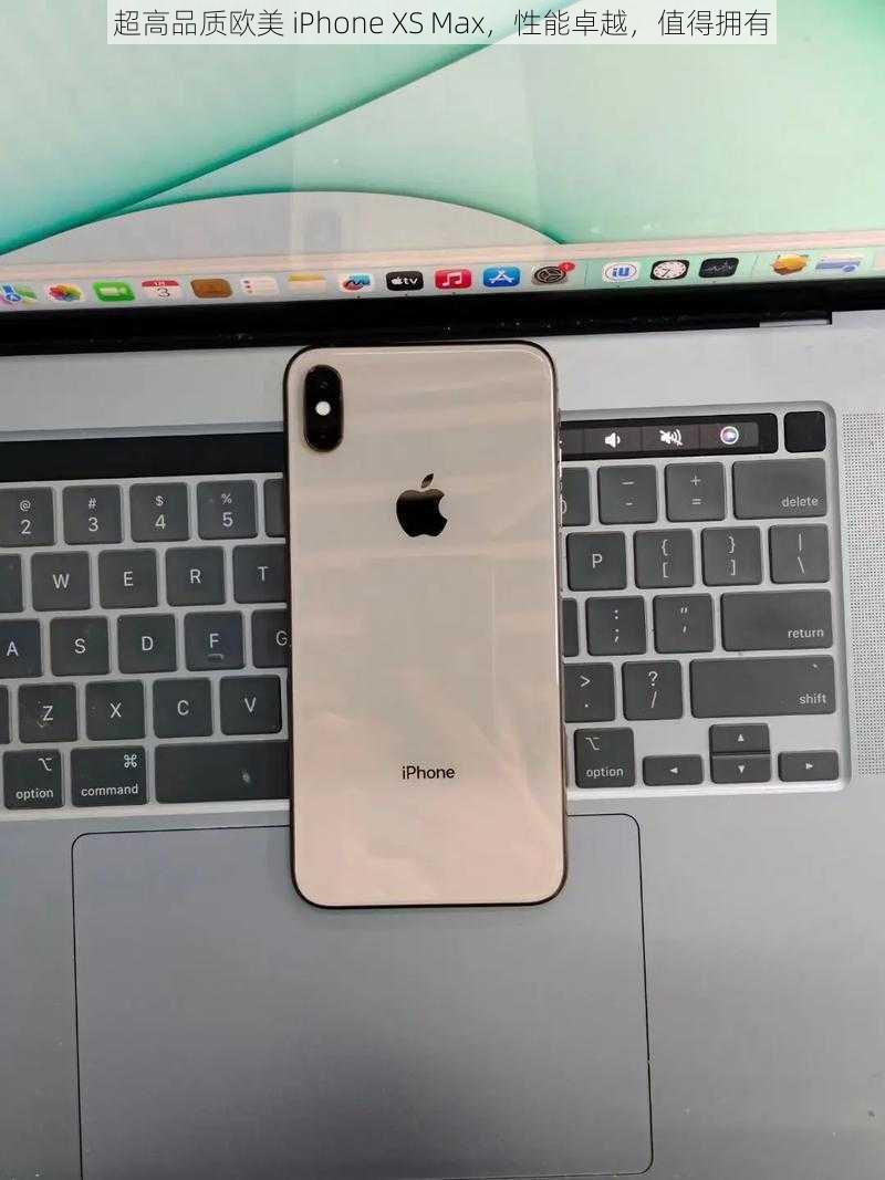 超高品质欧美 iPhone XS Max，性能卓越，值得拥有