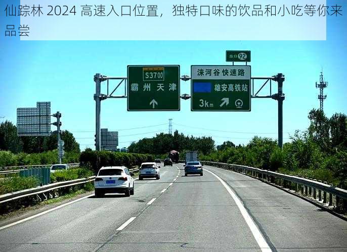 仙踪林 2024 高速入口位置，独特口味的饮品和小吃等你来品尝