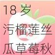 18 岁污榴莲丝瓜草莓秋葵，成人用品，给你不一样的刺激体验